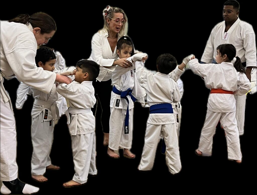 3 Lesson Shotokan karate trial 