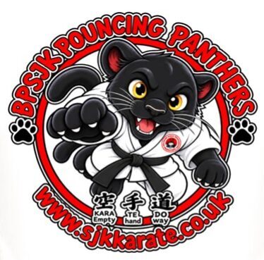 karate T shirt with logo for kids Pouncing Panthers